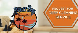 In-Home Estimate For Deep Clean